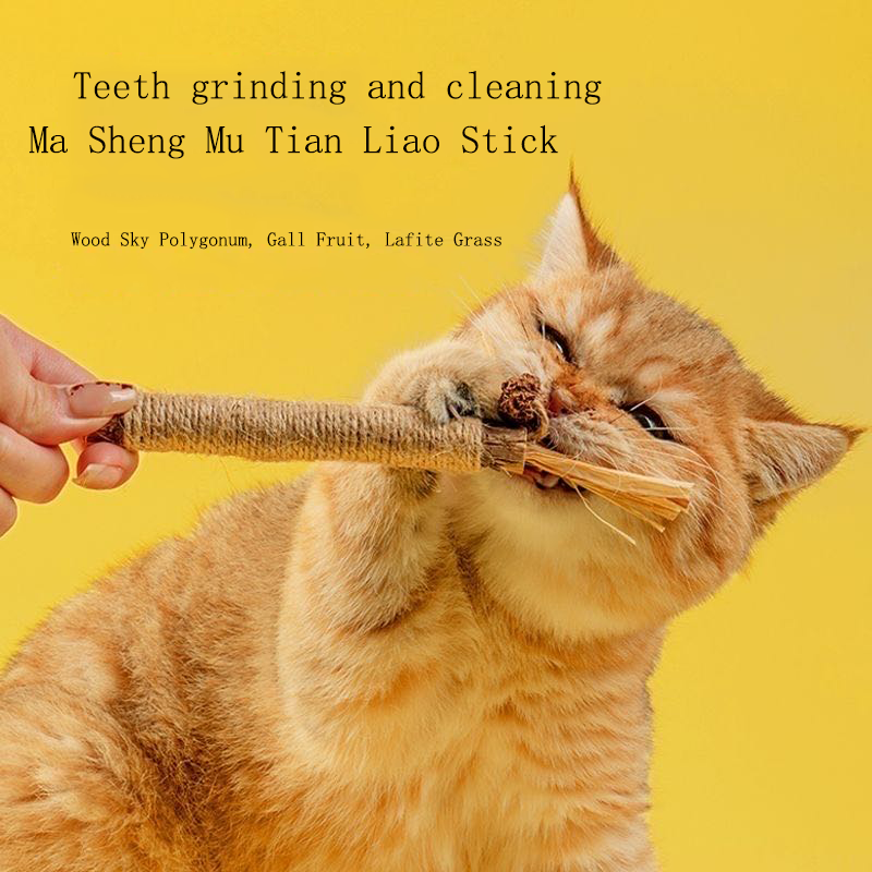 Cat Wood Sky Polygonum Teeth Grinding Rod with Gall Fruit, Cleaning Teeth