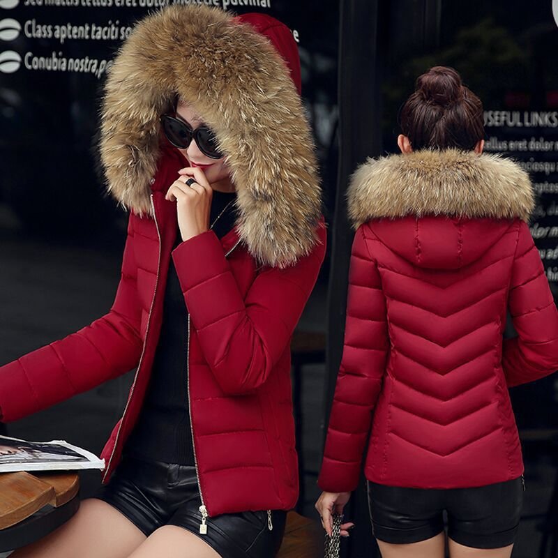 Women's Fashionable Large Fur Collar Hooded Warm Jacket Jacket