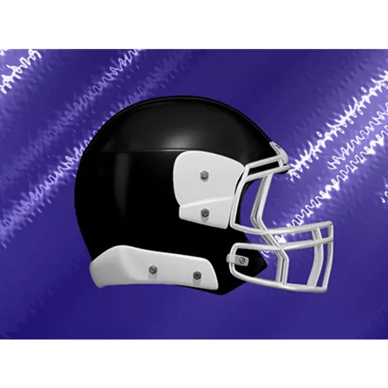 Baltimore Ravens vs Tampa Bay Buccaneers