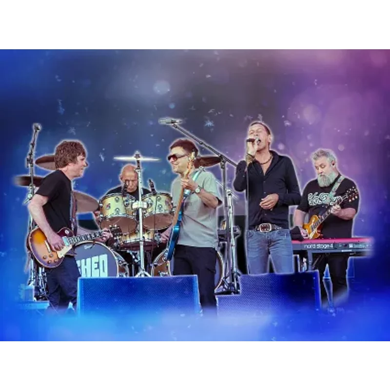 Shed Seven