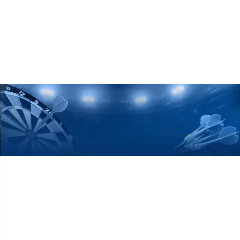 The World Series of Darts Finals