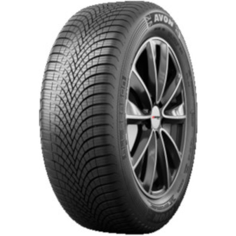 Avon All Season ( 225/45 R17 94W XL, with Rim flange protection )