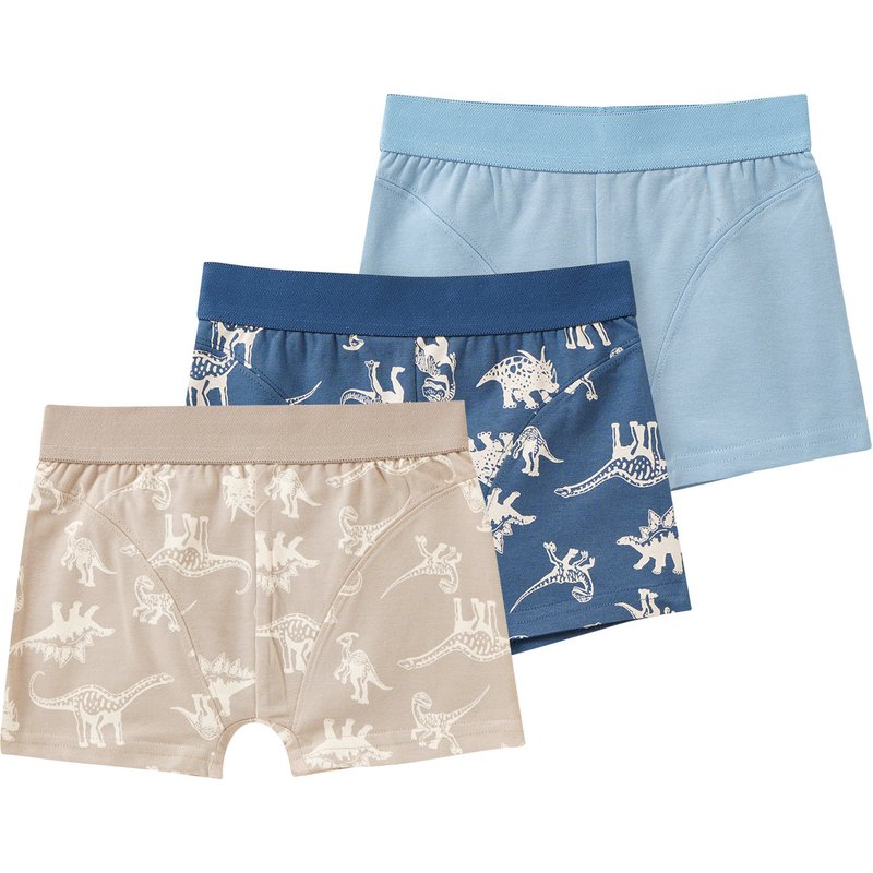 3 Jungen Boxer mit Dino-Motiven