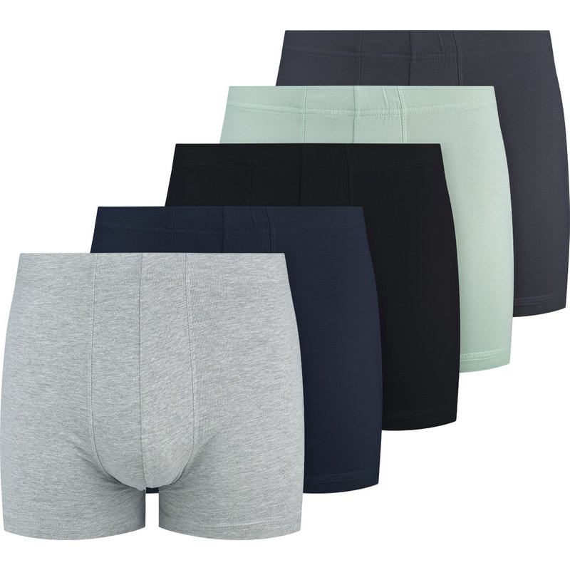 5 Herren Boxer