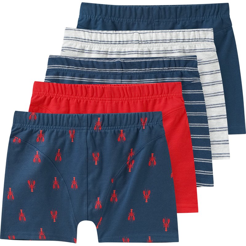 5 Jungen Boxer im Set