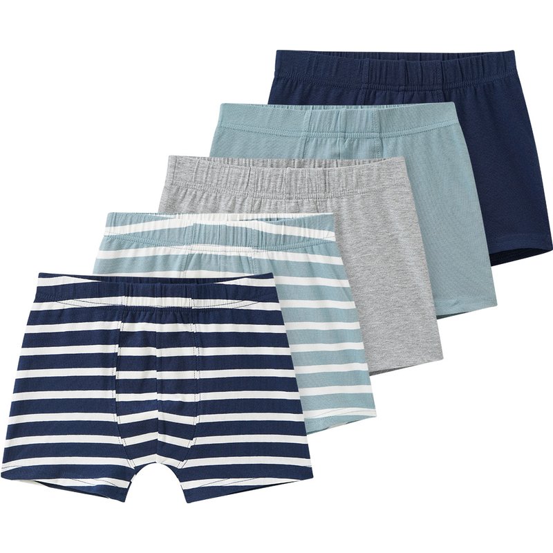 5 Jungen Boxer im Set