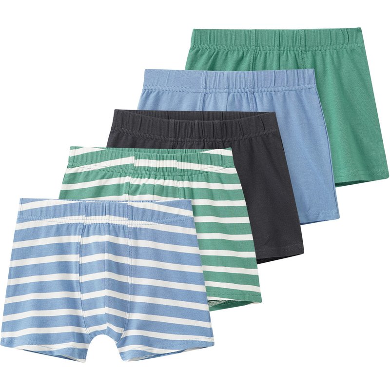 5 Jungen Boxer im Set