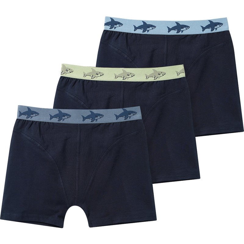 3 Jungen Boxer mit Webbund