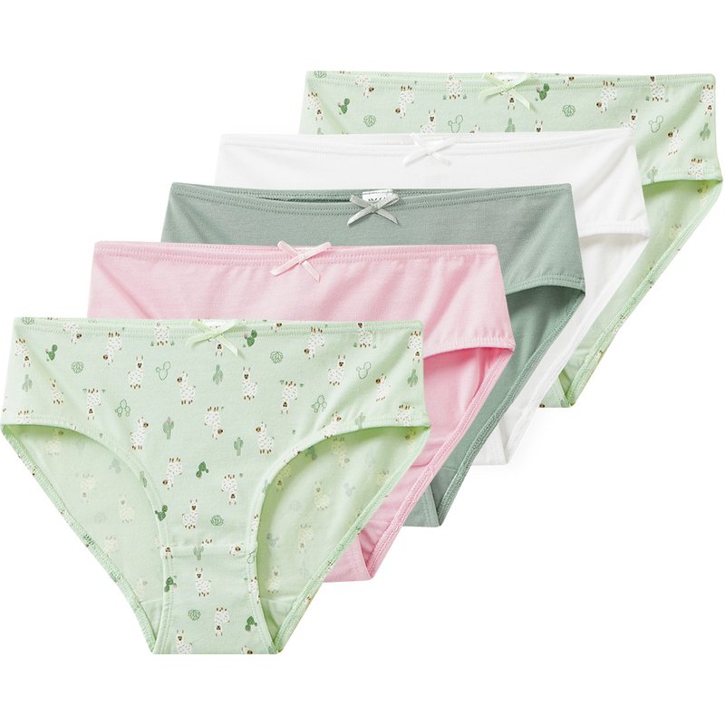 5 Mädchen Slips