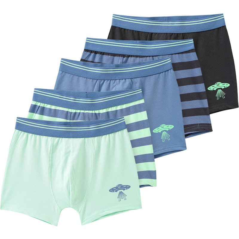 5 Jungen Boxer im Set