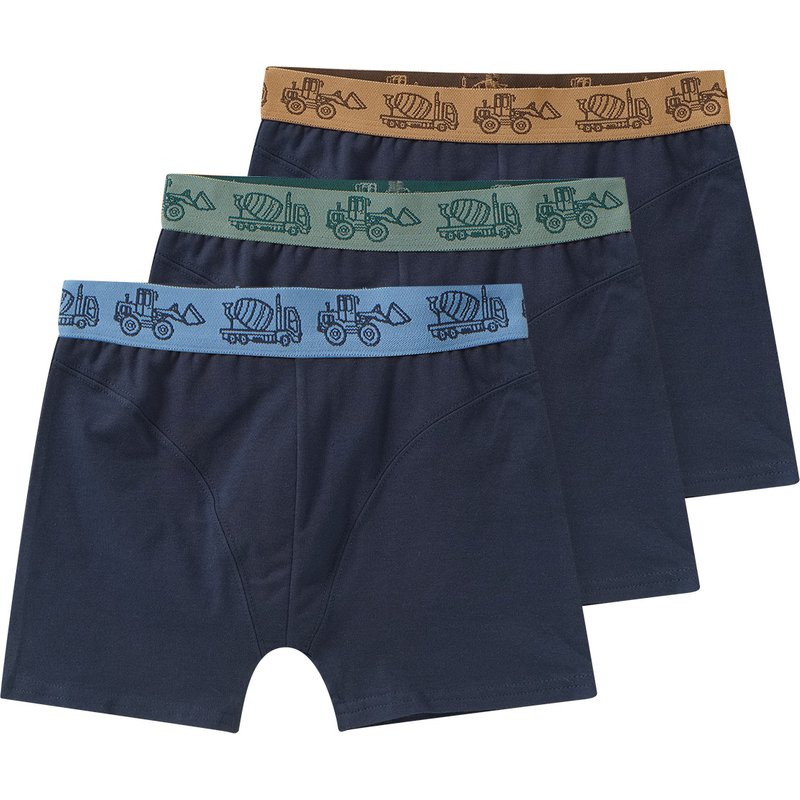 3 Jungen Boxer mit Baufahrzeugen