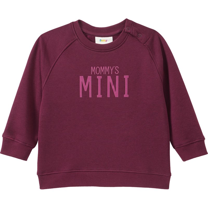 Baby Sweatshirt mit Flock-Print