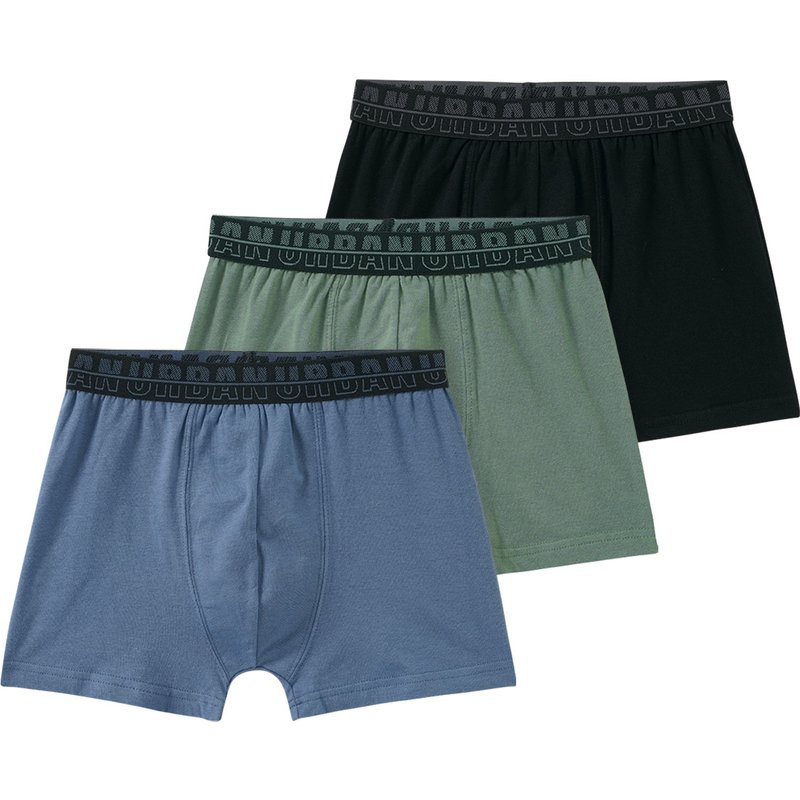 3 Jungen Boxer mit Webbund