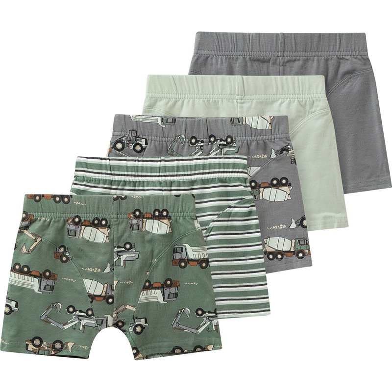 5 Jungen Boxer