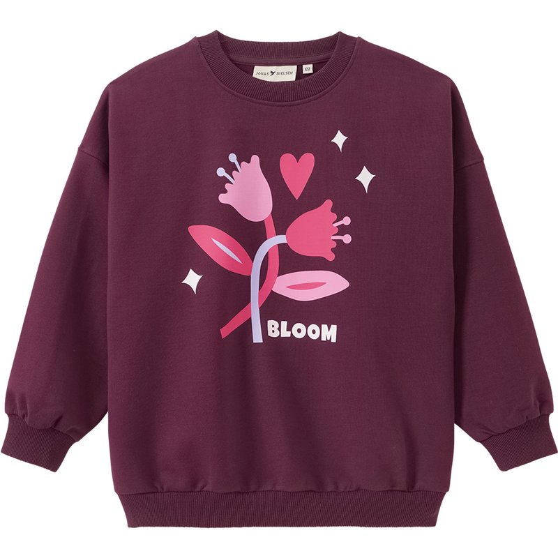 Mädchen Sweatshirt mit Frontprint