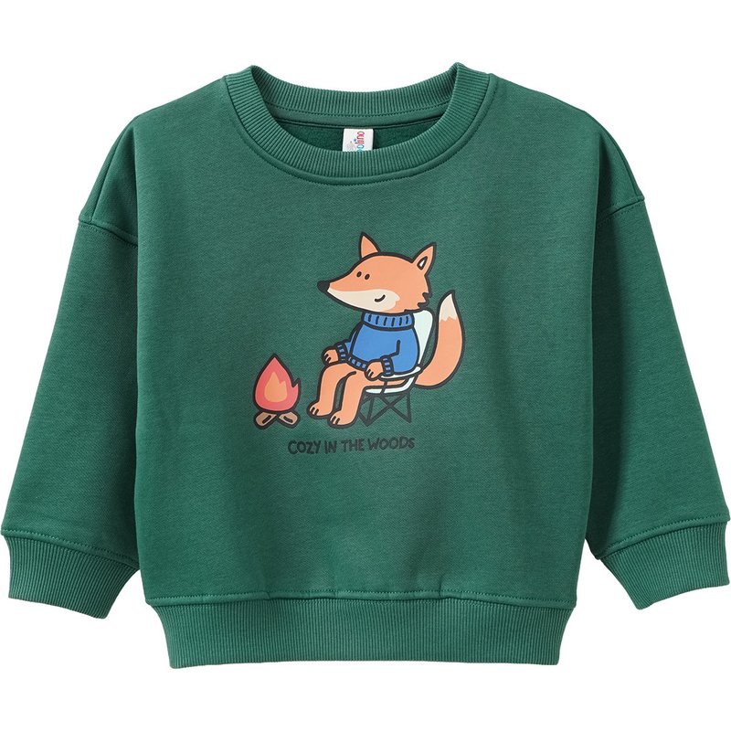 Jungen Sweatshirt mit Print