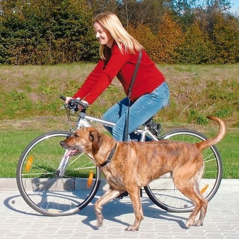 Laisse Vélo Et Jogging Pour Chien