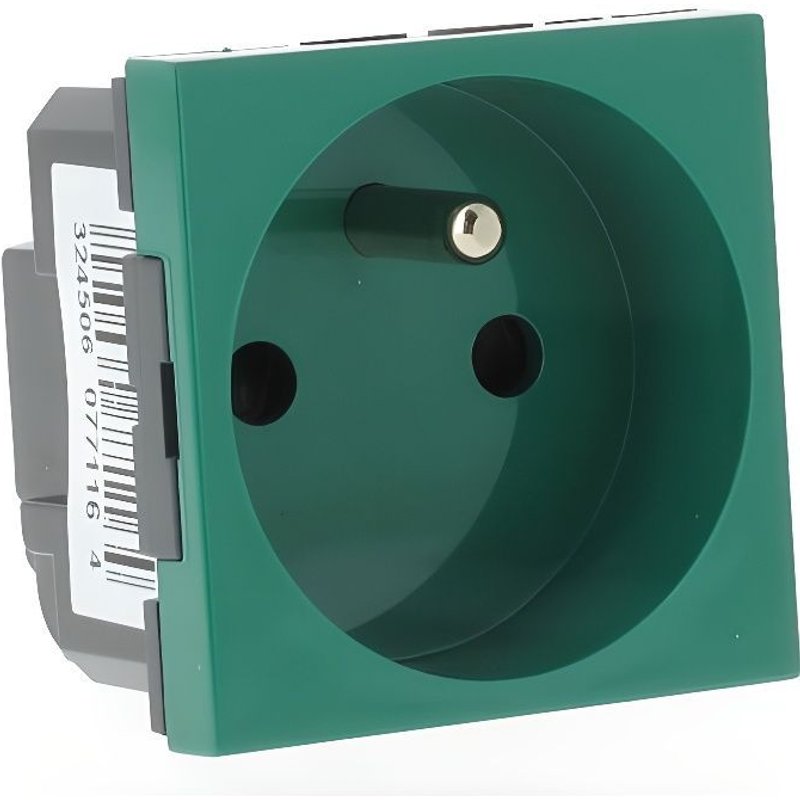 Prise de courant 2P+T Legrand Mosaic Vert