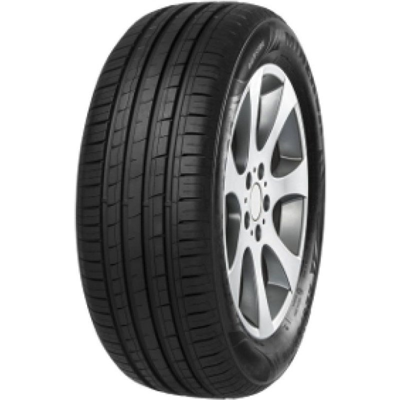 Minerva F209 205/50 R15 89V XL