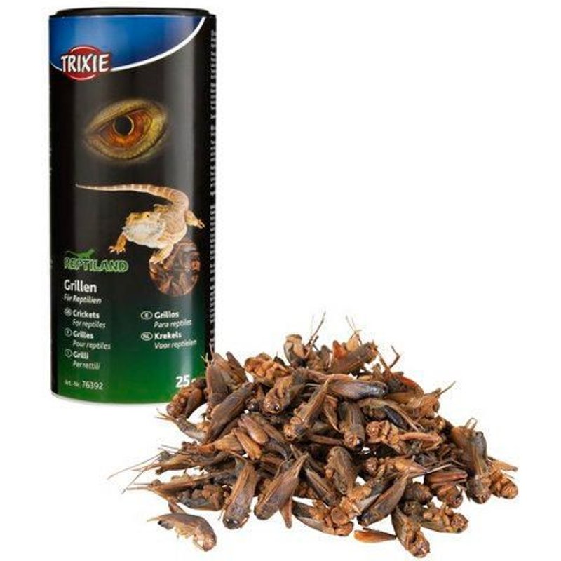 Grillons Déshydratés Pour Reptiles Et Hérissons:
