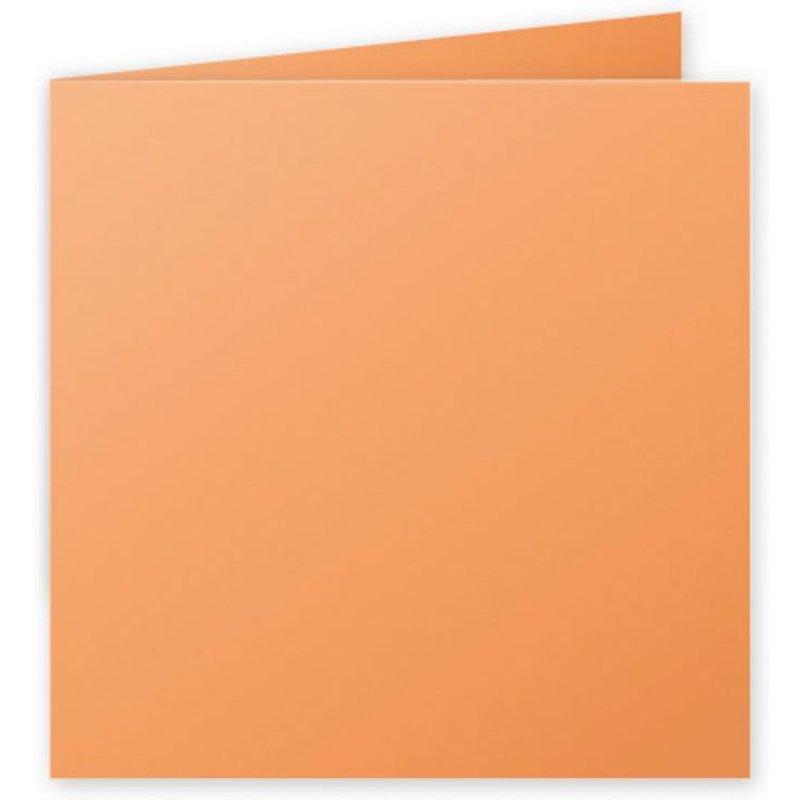 Clairefontaine Pollen - Papier - orange - 160 x 160 mm - 210 g/m² - 25 carte(s) cartes pliées en deux