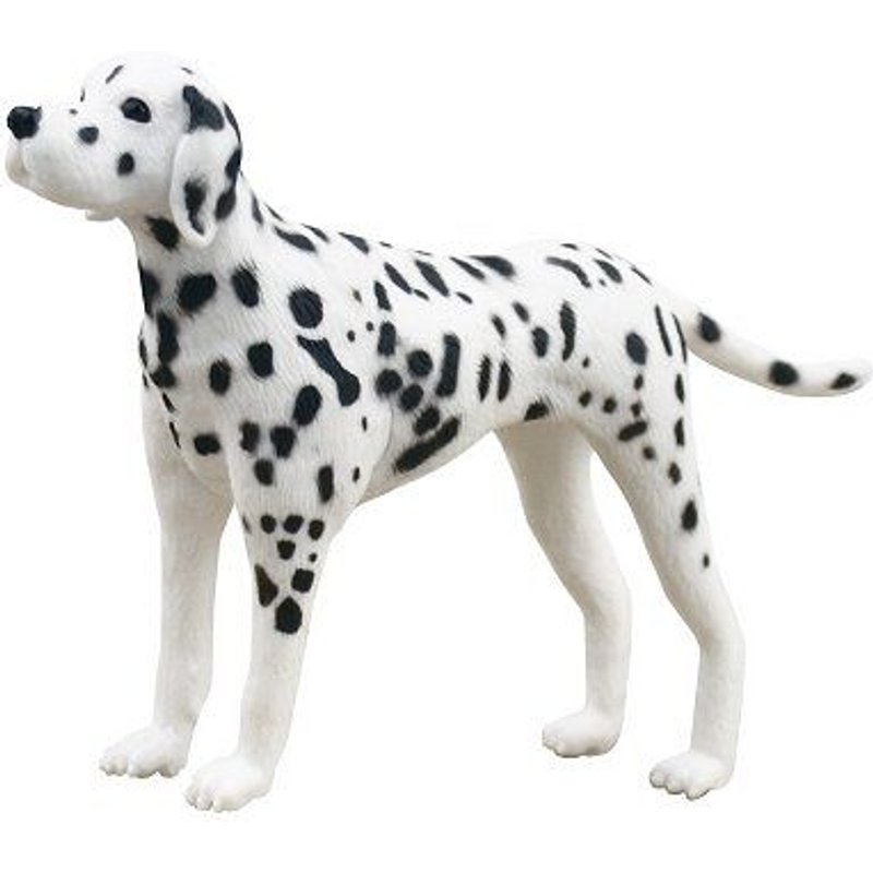 Chien Dalmatien
