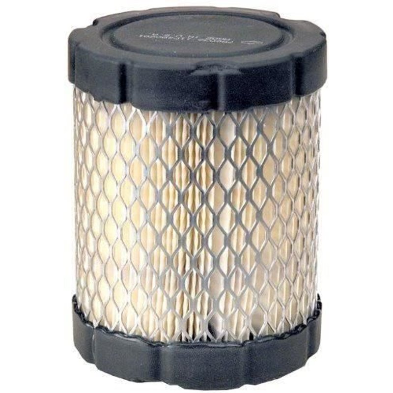 BRIGGS & STRATTON Filtre a air Series 3