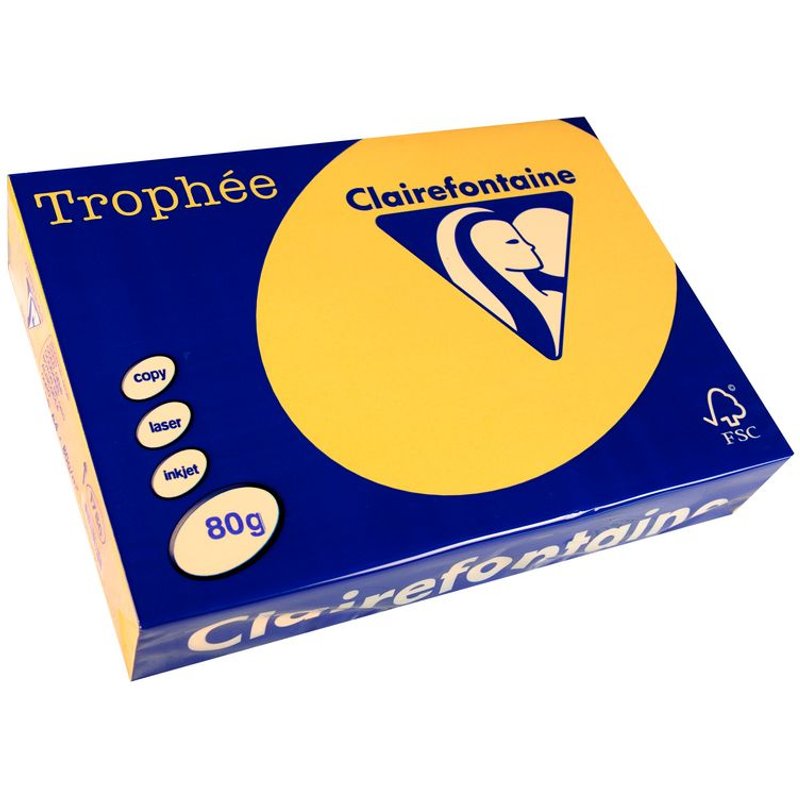 Clairefontaine Lot de 10 Ramettes 500 Feuilles Papier 80g A4 210x297 mm Certifié FSC Bouton d'Or