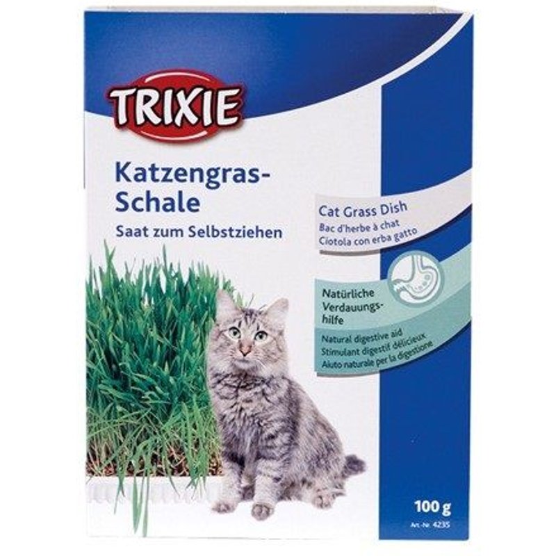 Herbe A Chat (Graine)