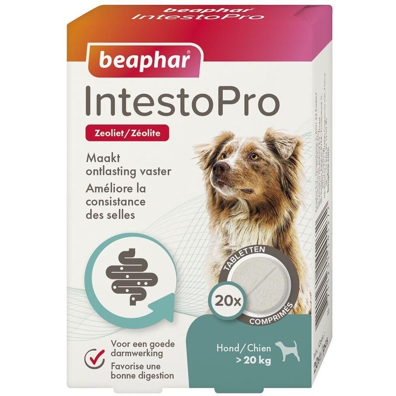 Beaphar ¿ Intestopro ¿ Comprimés Pour Améliorer La Consistance Des Selles ¿ Favorise La Digestion ¿ Ingrédient Actif D'origine Naturelle - Pour Chiens (20 Kg) - 20 Comprimés