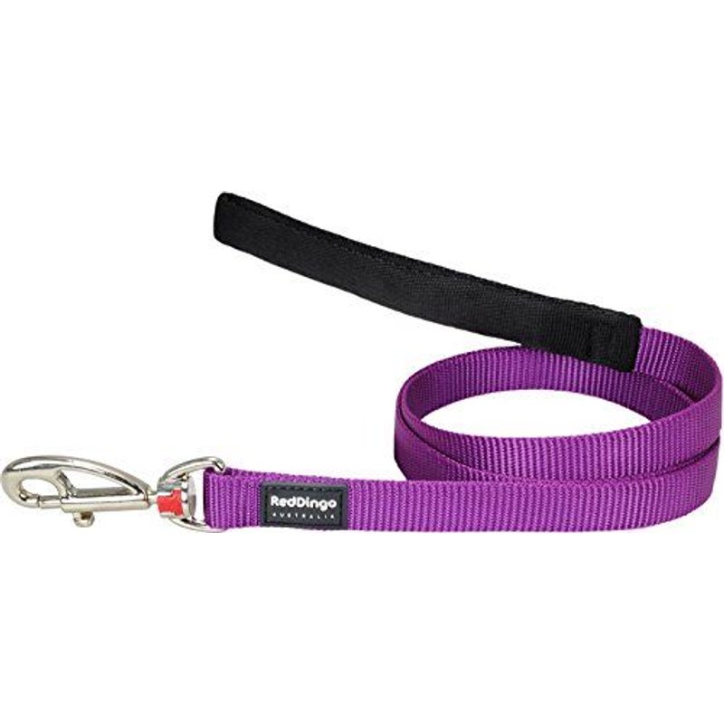 Laisse Red Dingo 1m20 - 25 Mm Violet