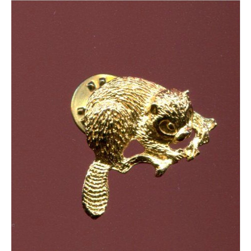 Pins Bijoux Petit Castor