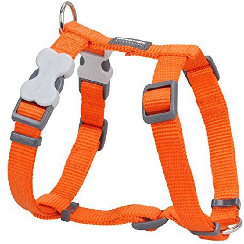 Harnais Red Dingo 37-55 Cm 15mm Orange