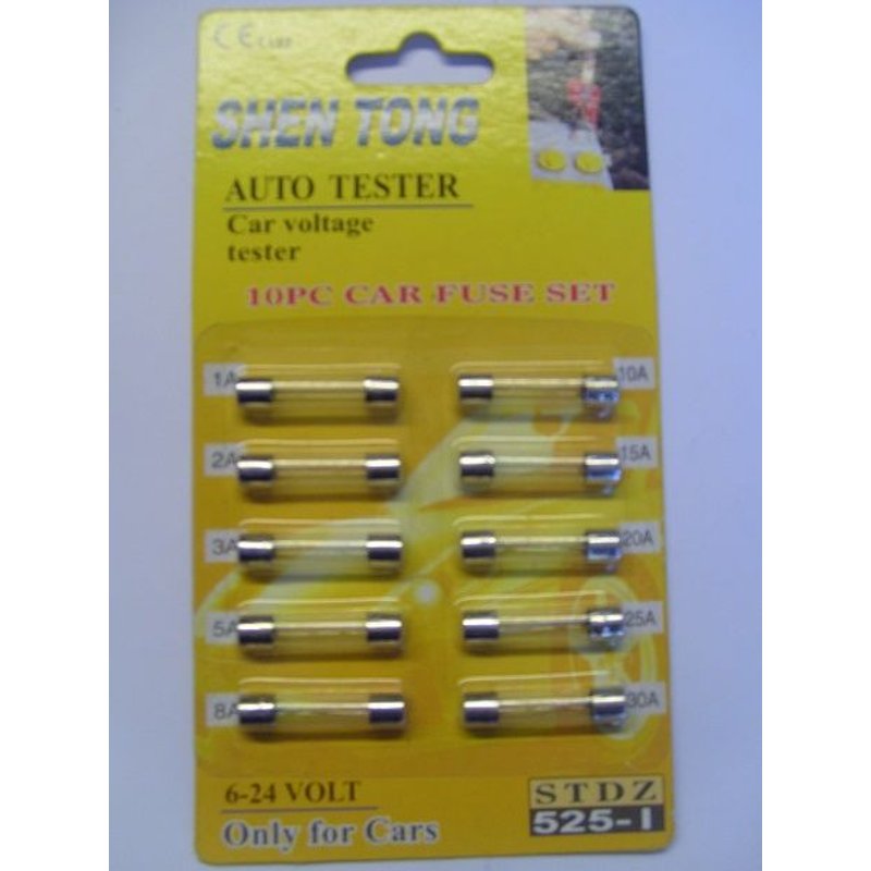 10 Fusibles en Verre pour Voiture