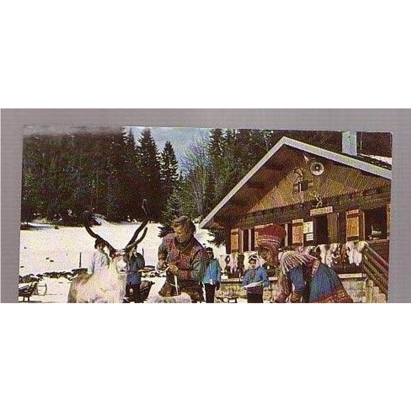 La Vallée Des Rennes - Années 80/90 - Prémanon Jura France 39 - Attelage D'un Renne Par Les Lapons - Dos Vierge ¿ Impression Pierron