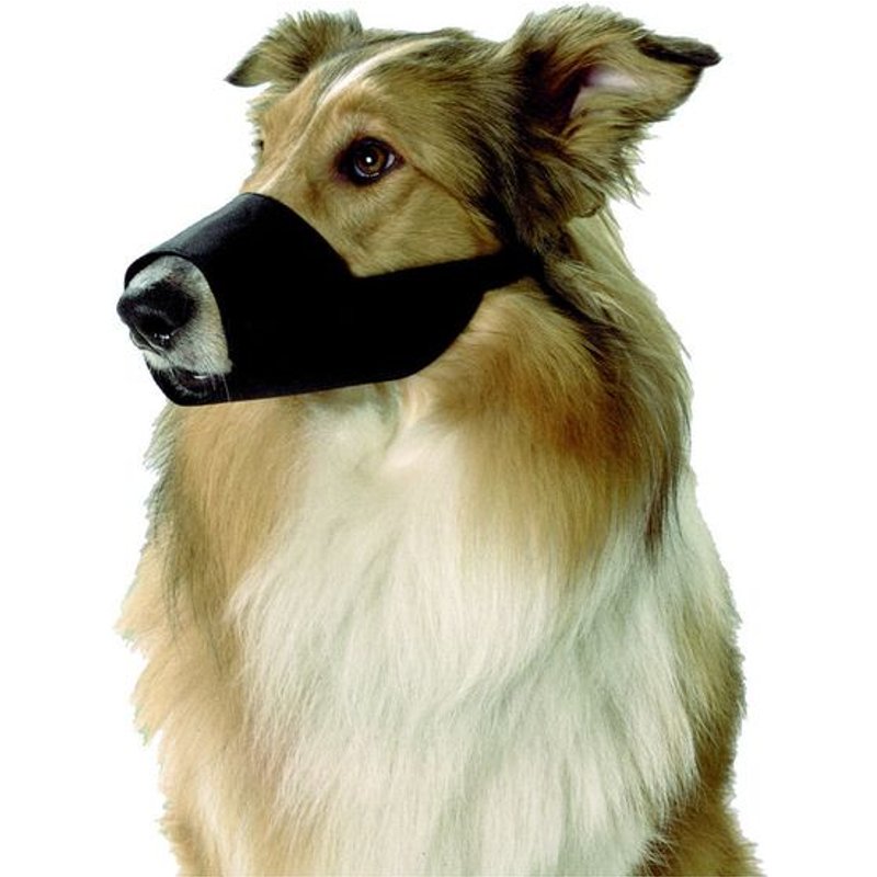 Muselière En Nylon Noir Taille Xxl - Saint Bernard Mastiff