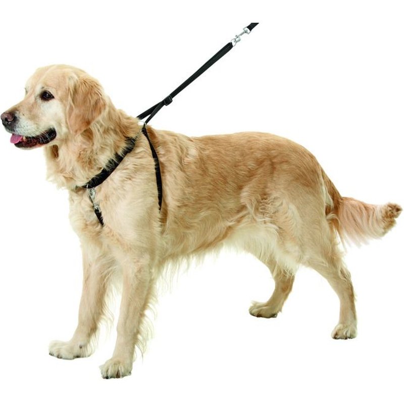Harnais D'éducation Pour Chiens Easy Walker Taille Xl Longueur 52-84 Cm