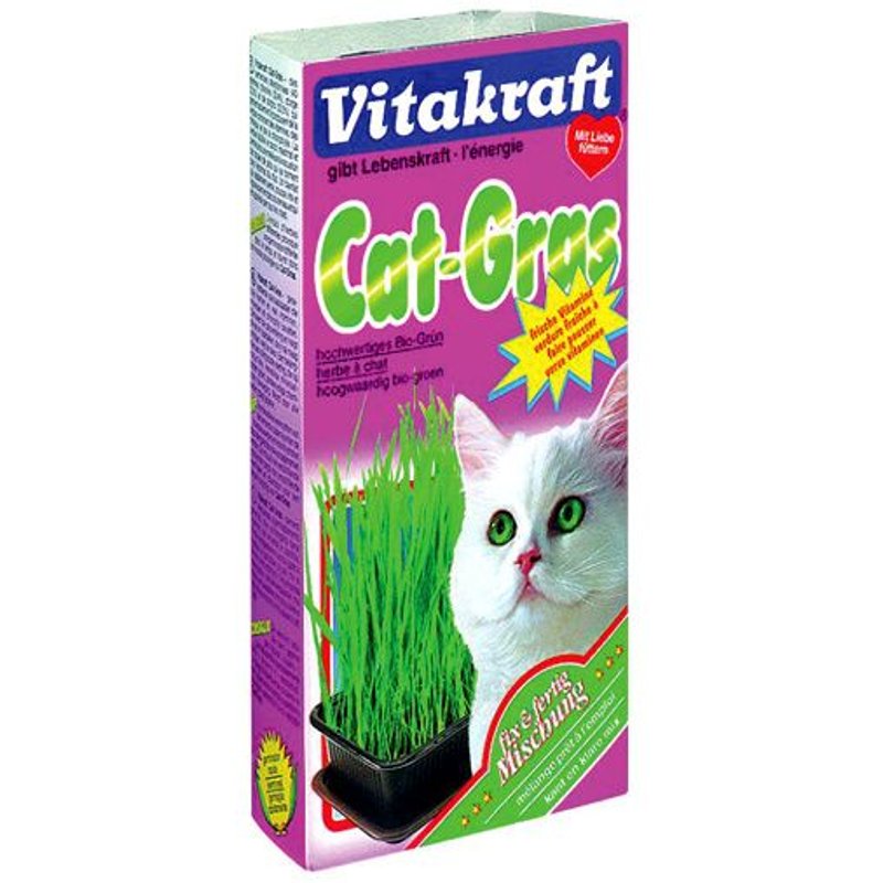 Vitakraft - 24031 - Herbe À Chat - Cat-Gras