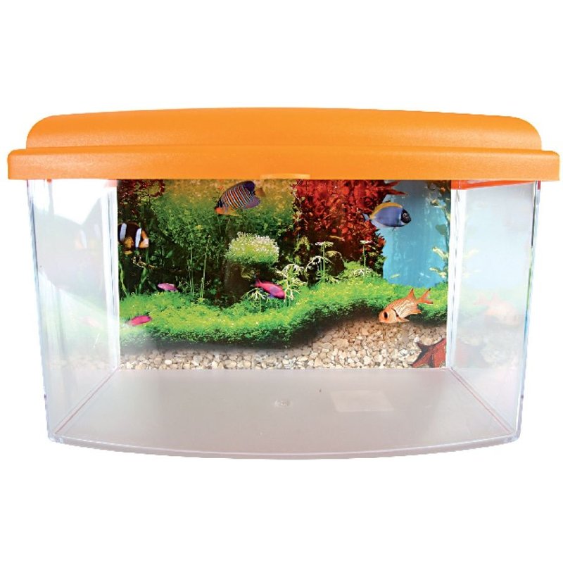Aquarium Travel Box Ii Small 22cm