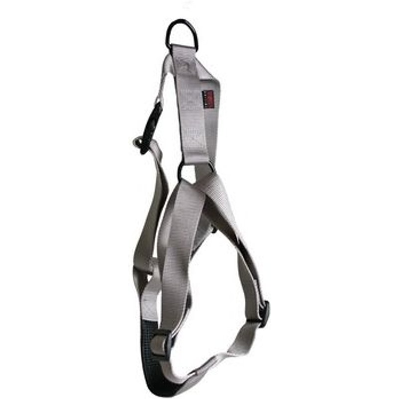 Bubimex - Friandises Chicken Wings Pour Chien - 100g