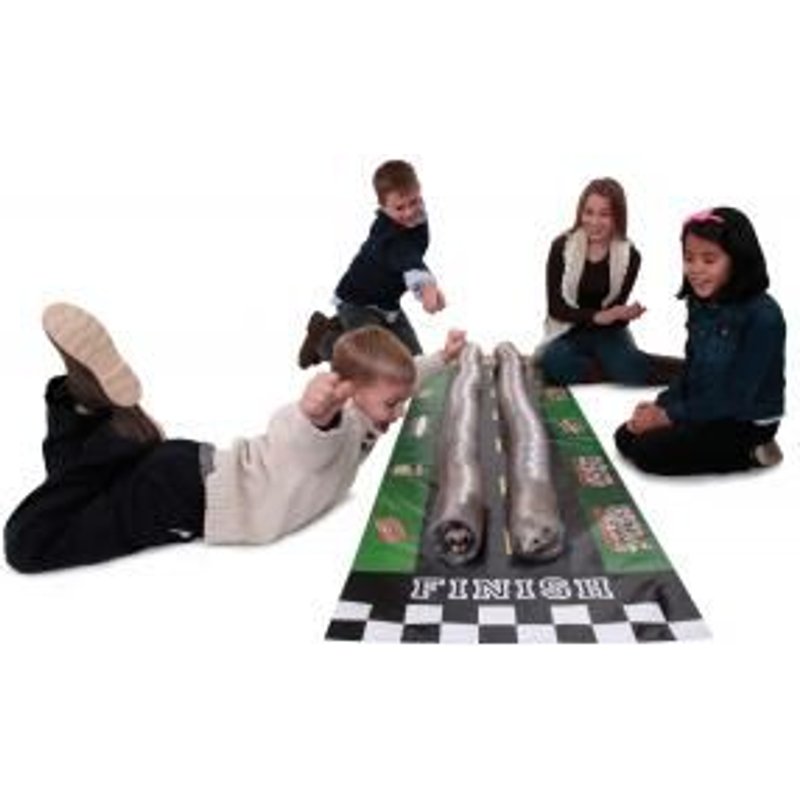 Tapis De Course Pour Furet