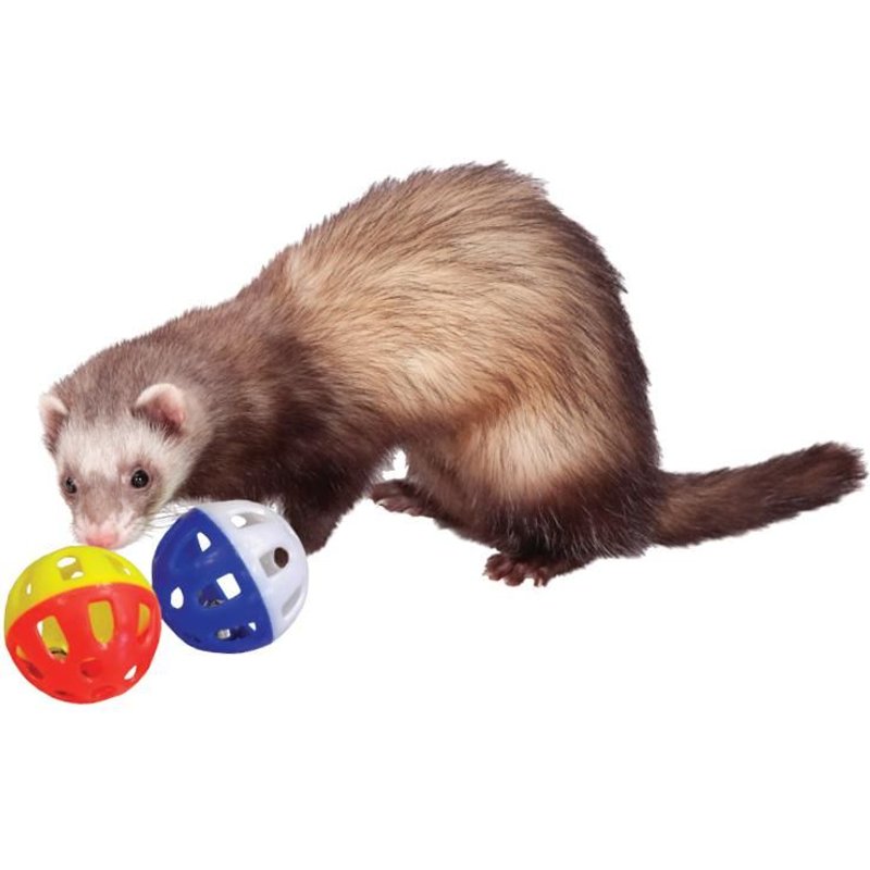 Balle En Plastique Avec Grelot Pour Furet