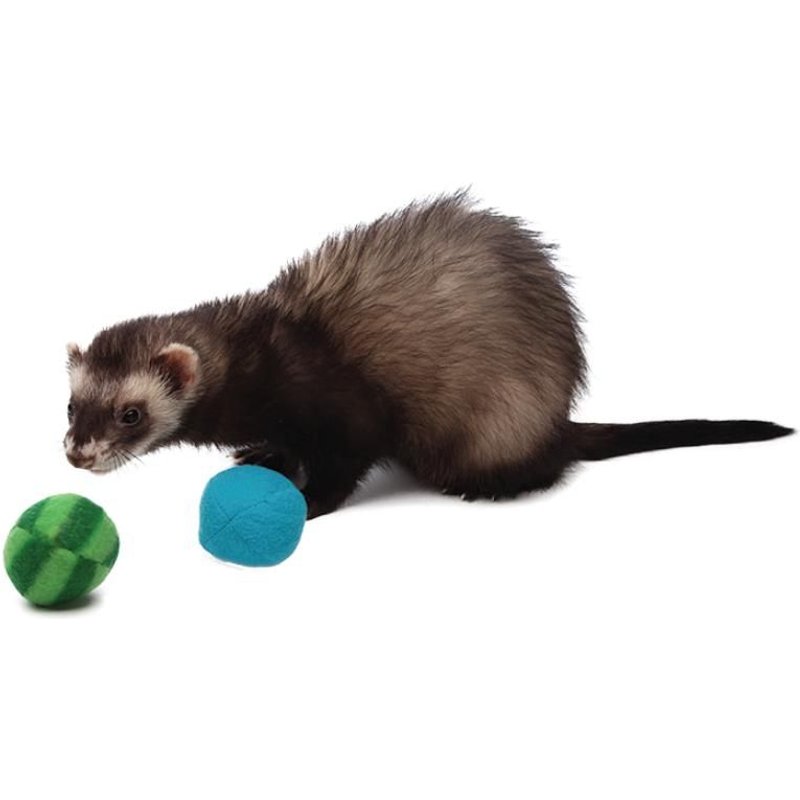 Balles Avec Clochette Pour Furet