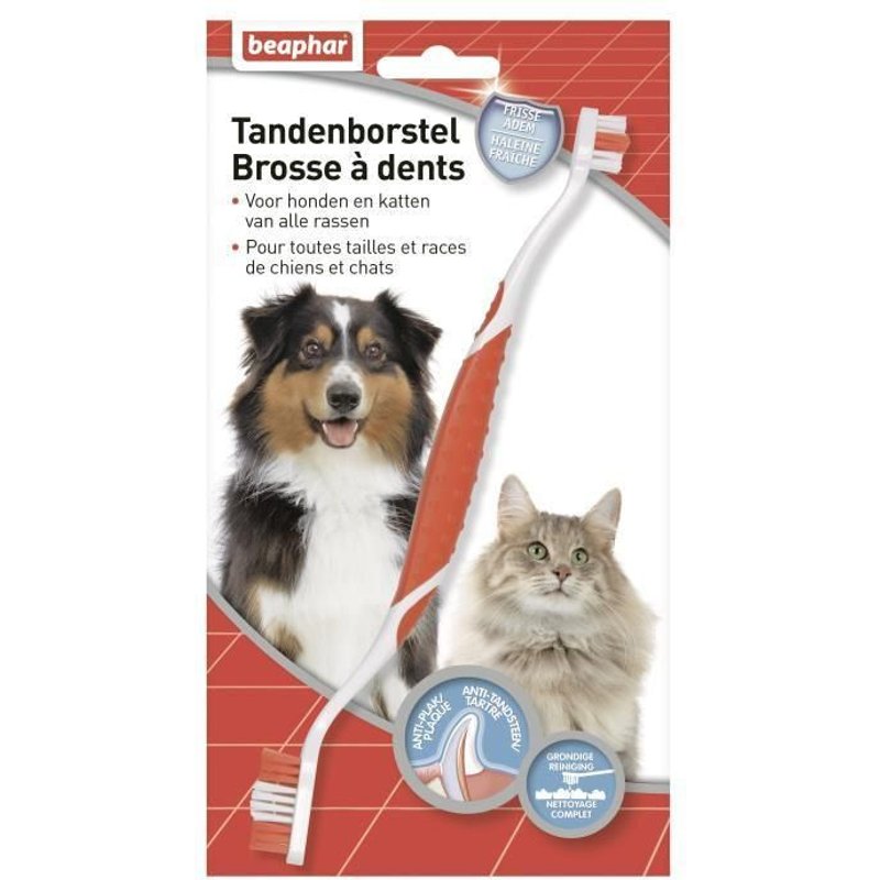 Beaphar -Brosse À Dents Pour Toutes Tailles Et Races De Chiens