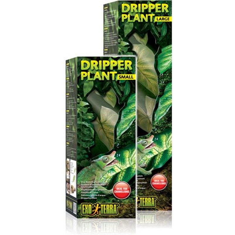 Water Dripper Plant Large - Exo Terra