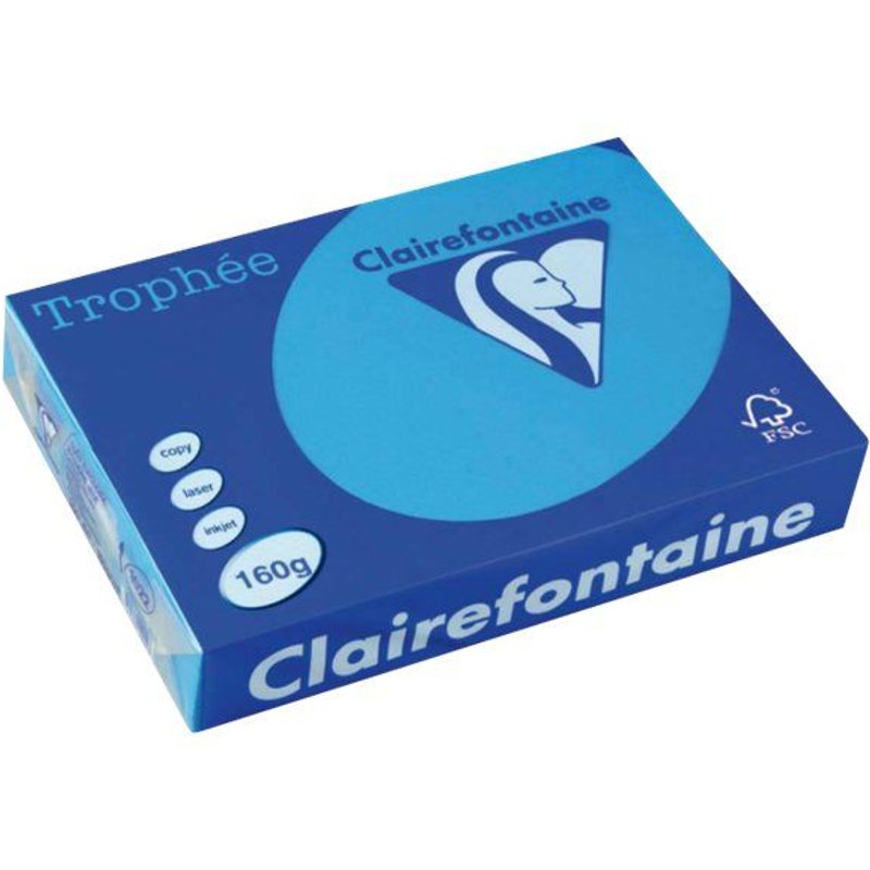 Clairefontaine Trophée - Gris acier - A4 (210 x 297 mm) - 160 g/m² - 250 feuille(s) papier teinté