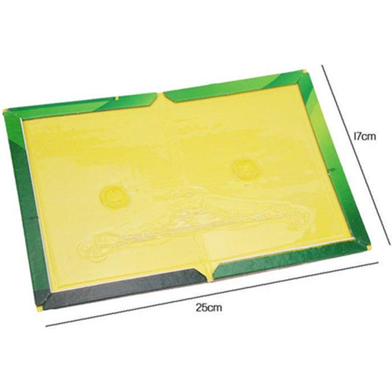 Trapper Max Sticky Glue Mice Traps Board Rodent Mouse Rat Snake Bugs Safe