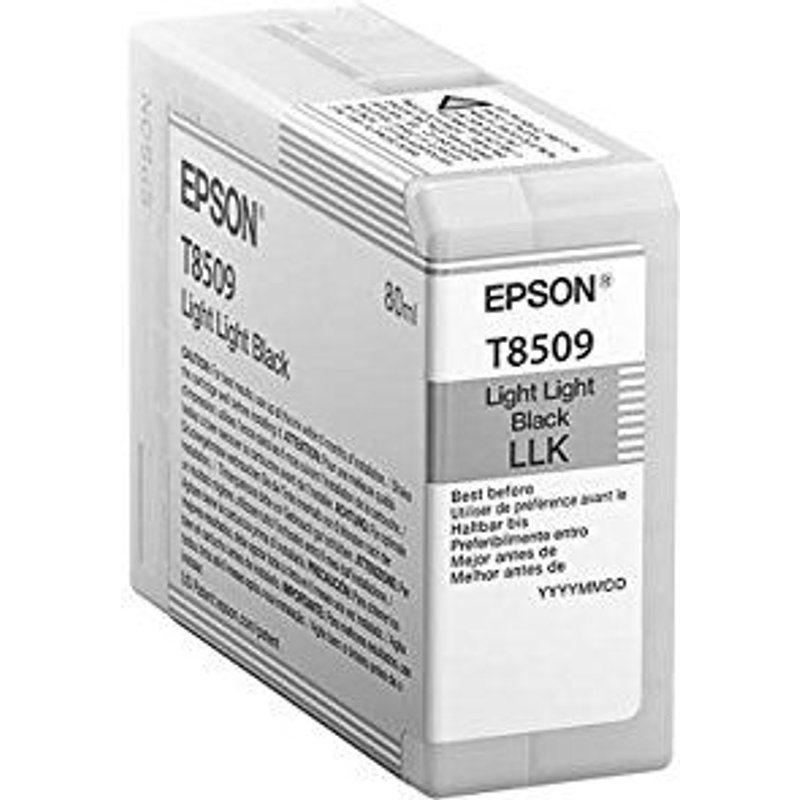 Epson C13T850900 Cartouche d'encre d'origine Noir Clair
