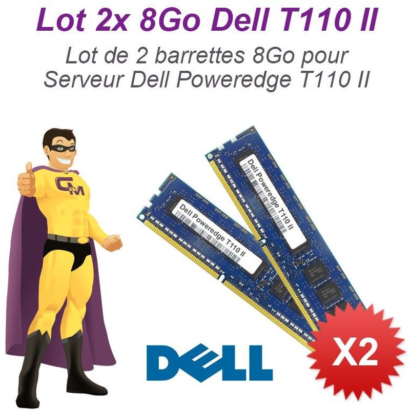 Lot 2x 8Go 16Go Ram Serveur Dell T110 II DIMM 240-PIN DDR3 PC3-12800E ECC 2Rx8
