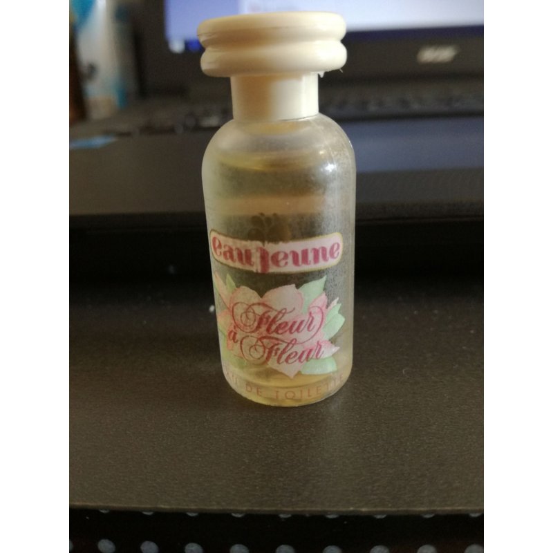 Miniature De Parfum Gemey